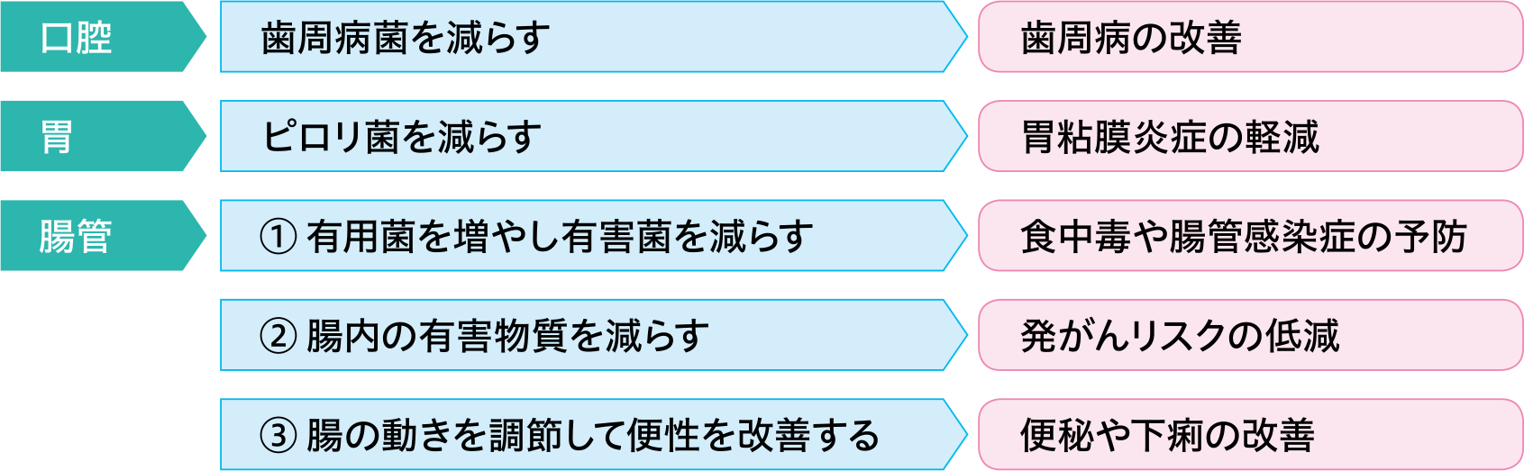 消化管内フローラ改善作用 | 一般社団法人全国発酵乳乳酸菌飲料協会 発酵乳乳酸菌飲料公正取引協議会